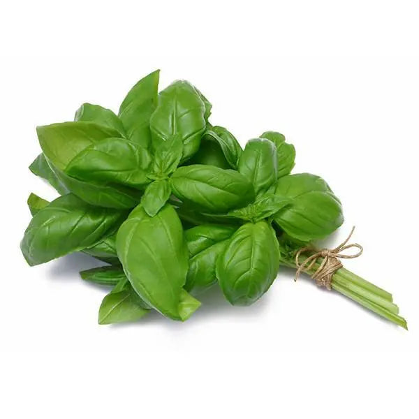 Basil (bunch)