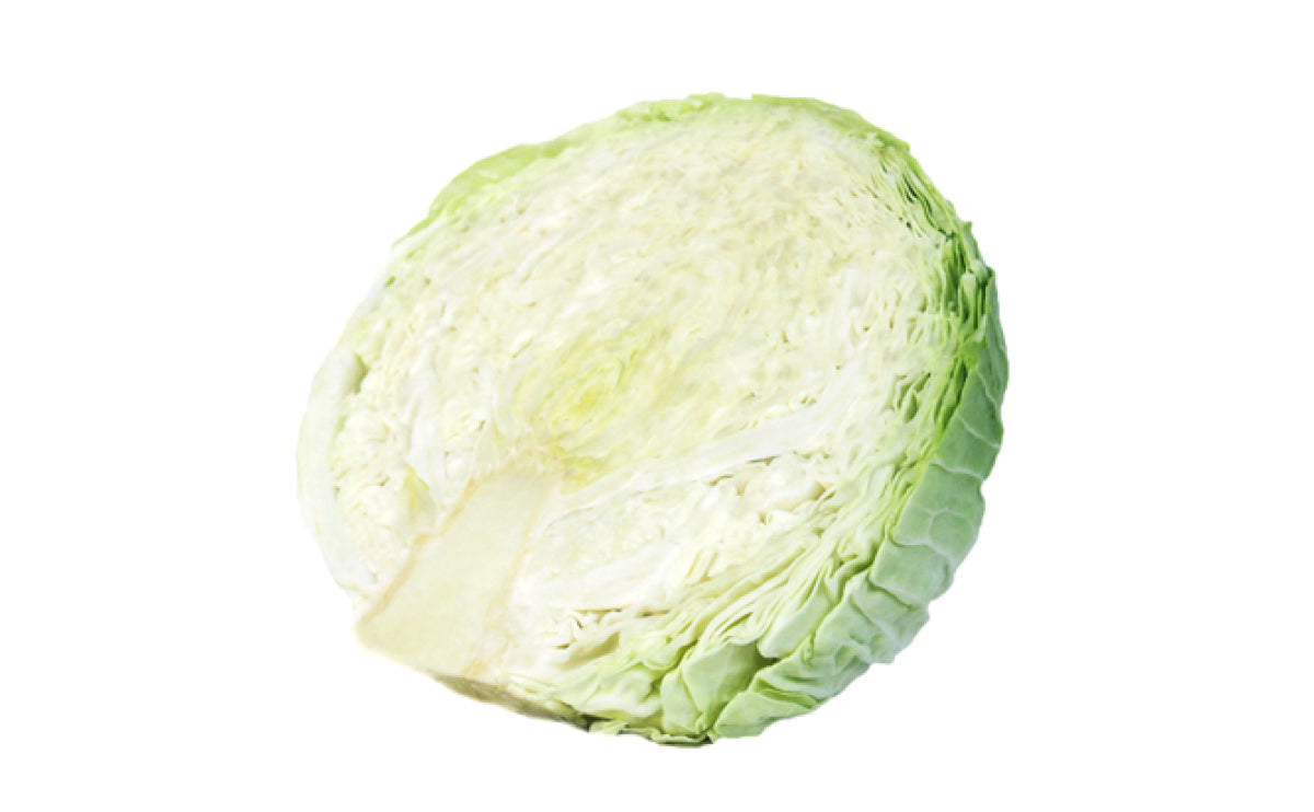 Cabbage - Green