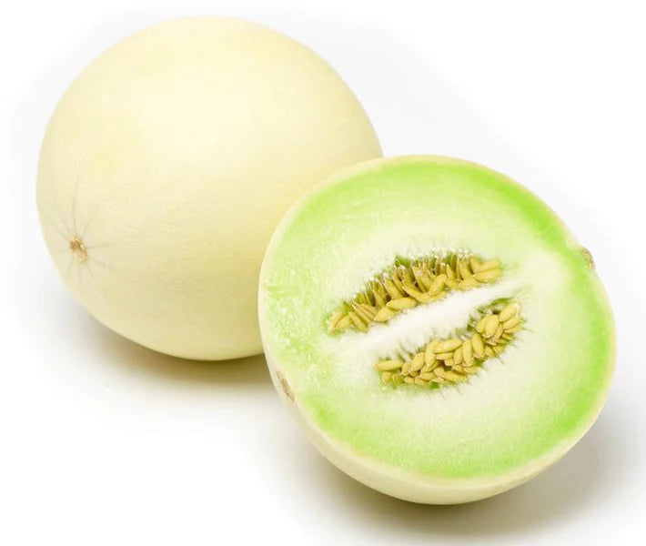 Honeydew