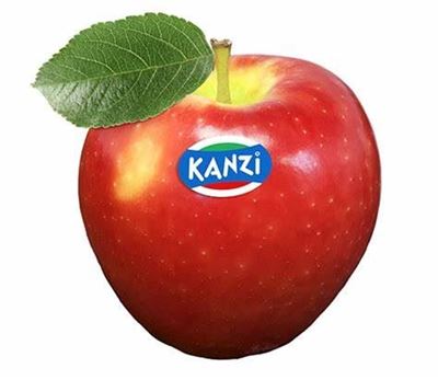 Apple - Kanzi (each)