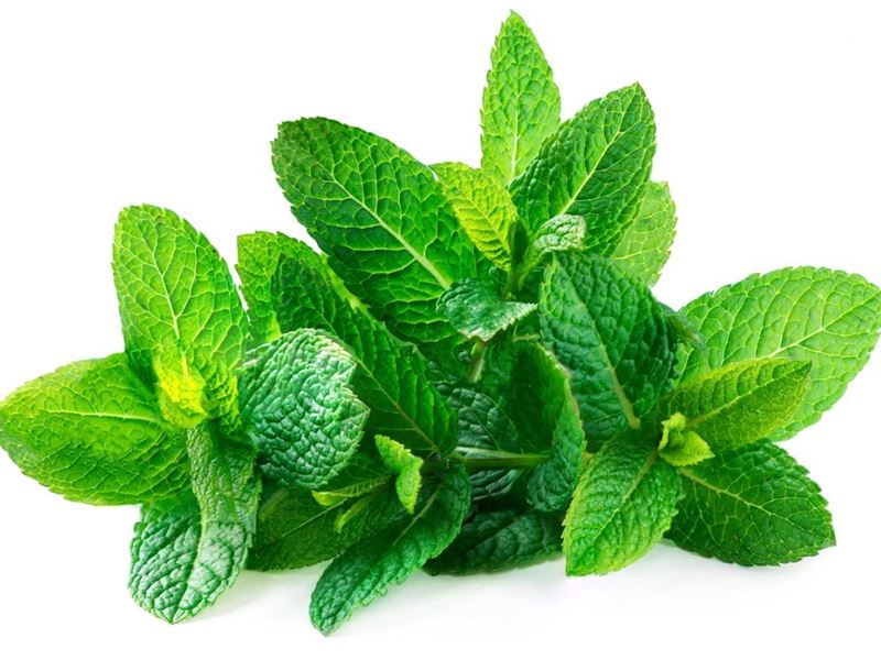 Mint (bunch)