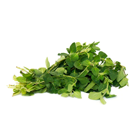 Oregano (bunch)