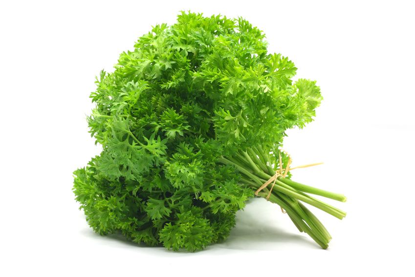 Parsley (Bunch)