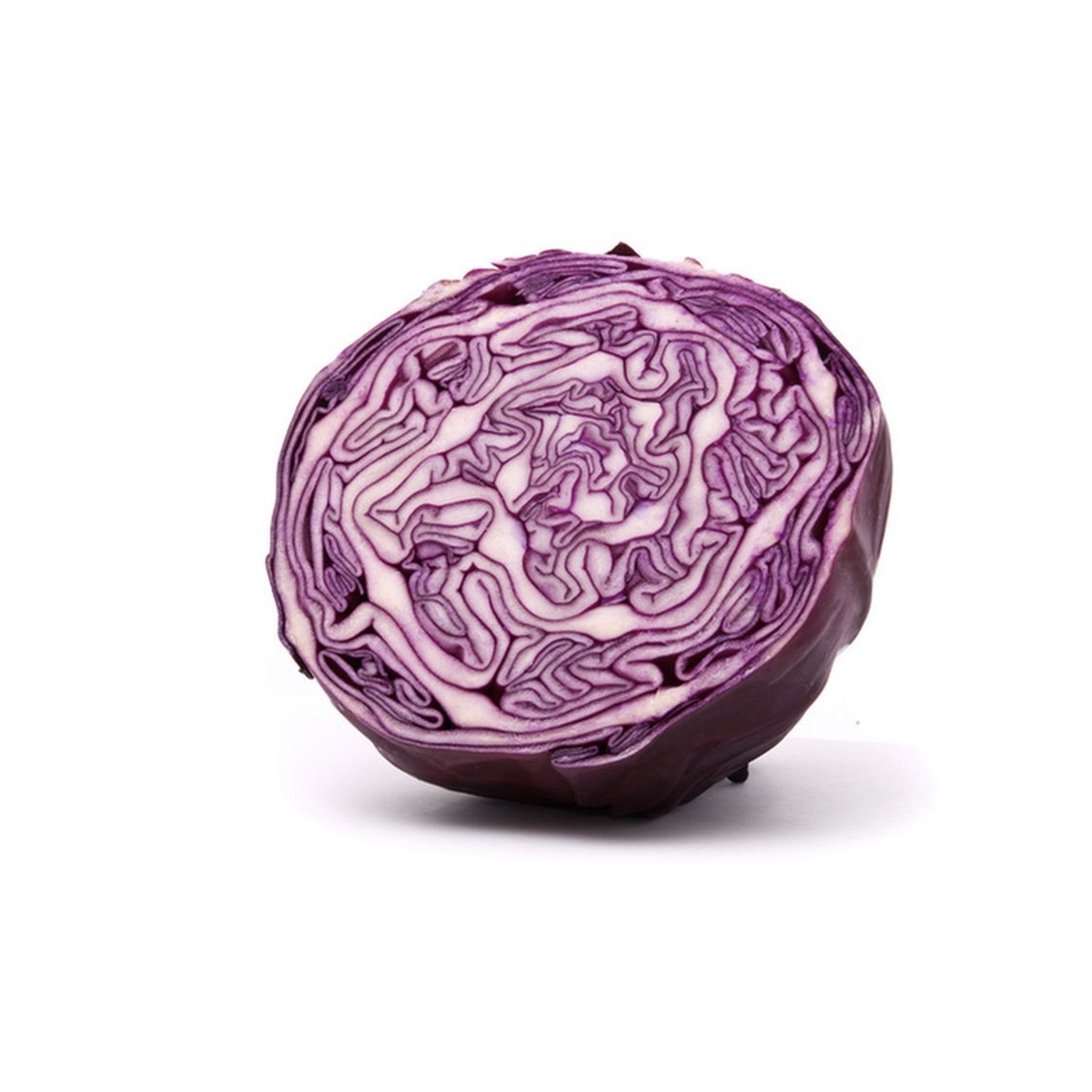 Cabbage - Red