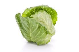 Cabbage - Green