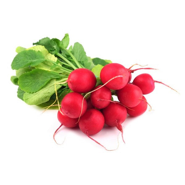 Radish- Bunch
