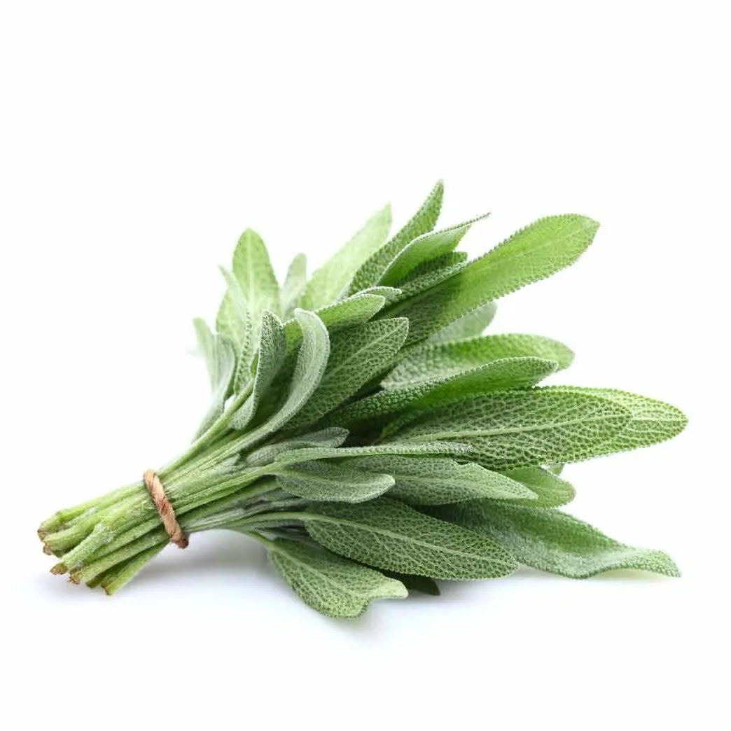 Sage (bunch)