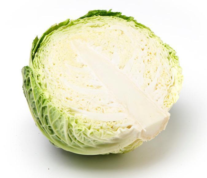 Cabbage - Savoy