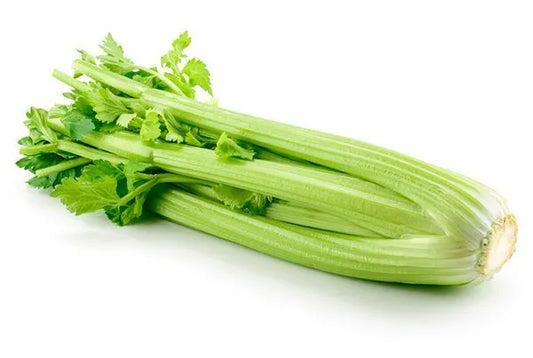 Celery
