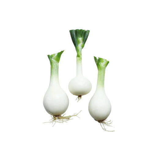Onion - Salad White  (each)