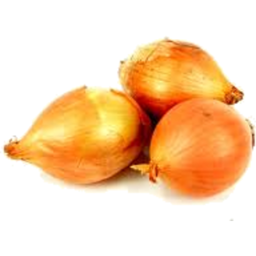 Onion - Pickling (each)