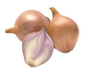 Onions Shallots (each)