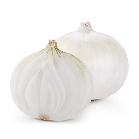 Onion - White (each)