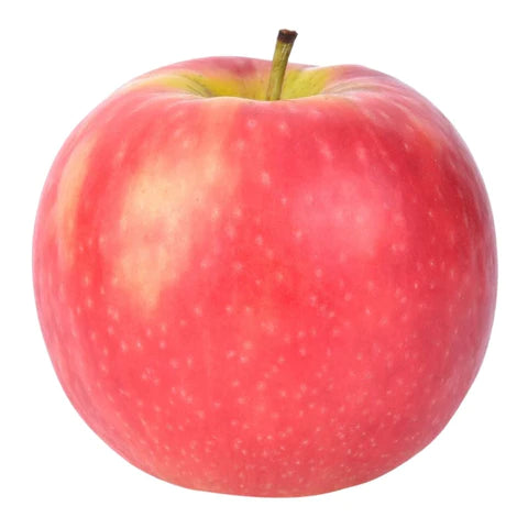 Apple - Pink Lady (each)