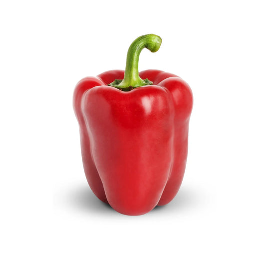 Capsicum - Red (each)