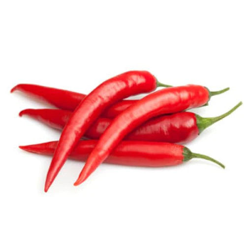 Chilli - Red (each)