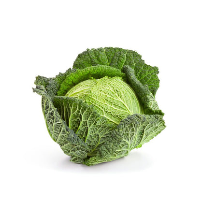Cabbage - Savoy
