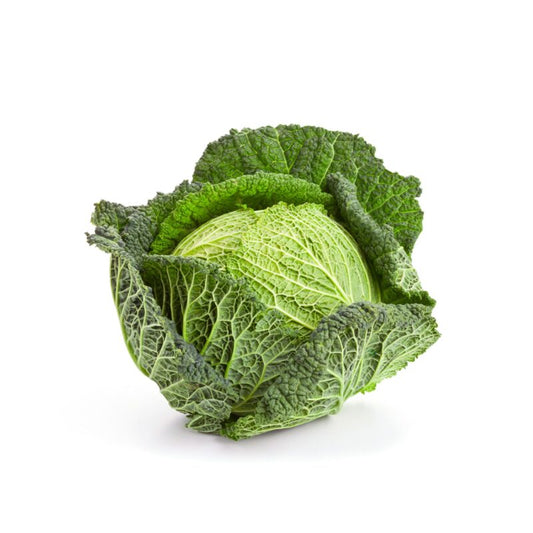 Cabbage - Savoy