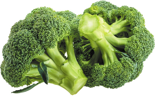 Broccoli (size medium)