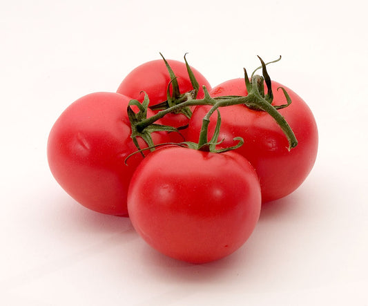 Tomato - Hydro/Truss (each)