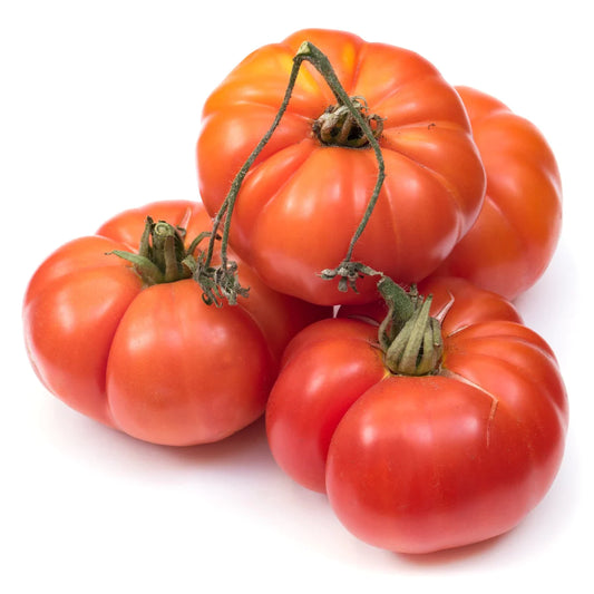 Tomato - SA Glass House (each)